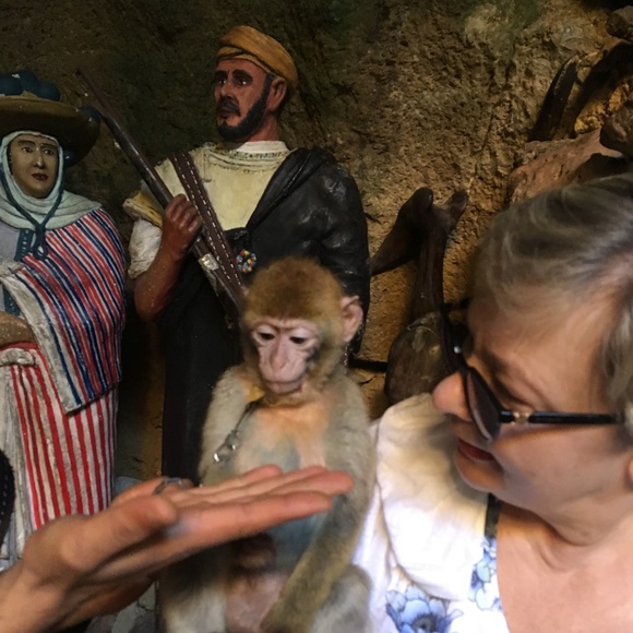 Meet your Posher, Teresa - Picture 4 of 5